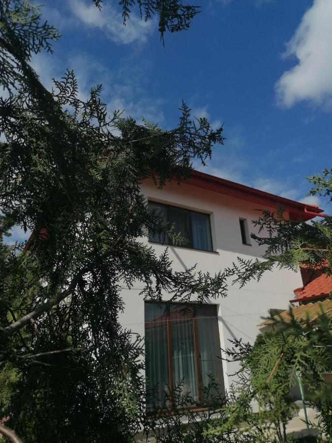 Farm stay Agropensiunea Cristina Niculitel