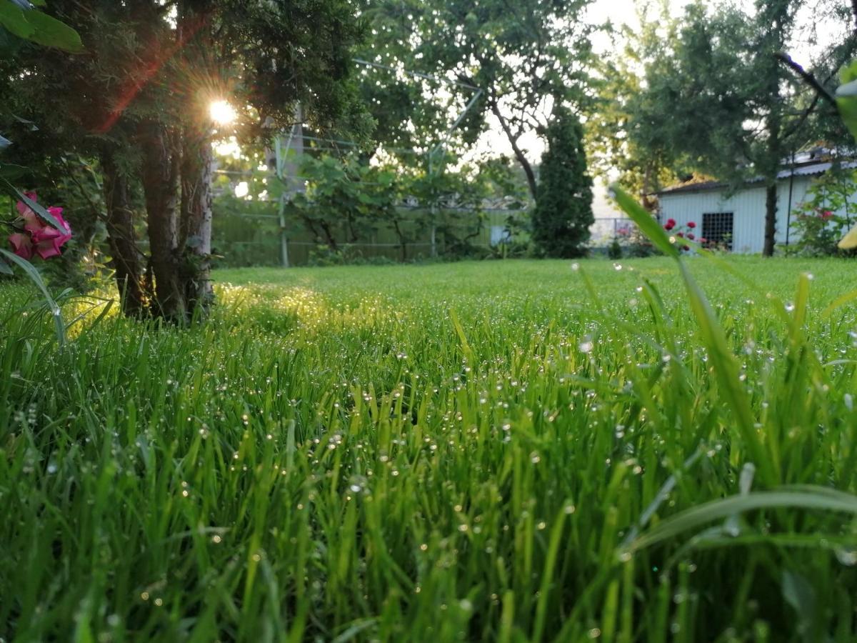 Farm stay Agropensiunea Cristina