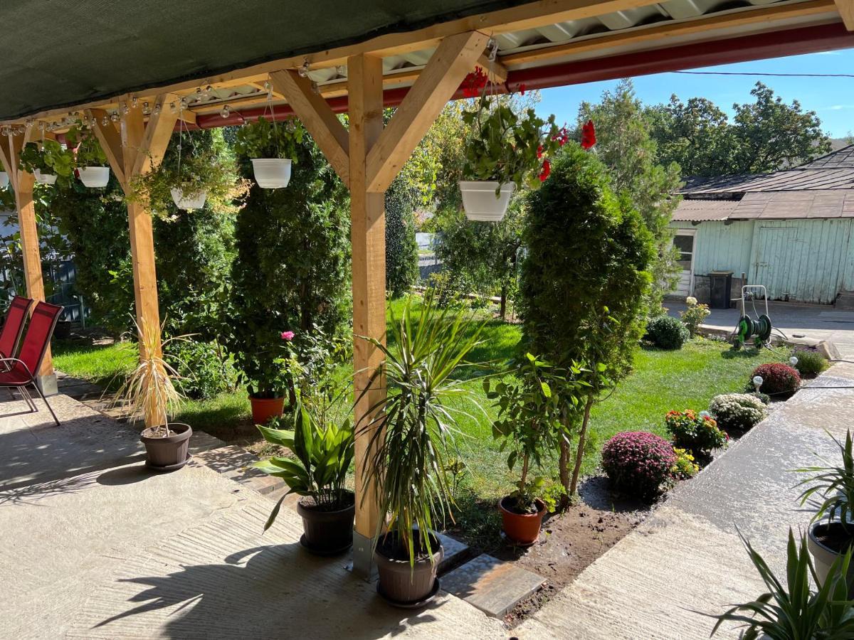 Farm stay Agropensiunea Cristina *