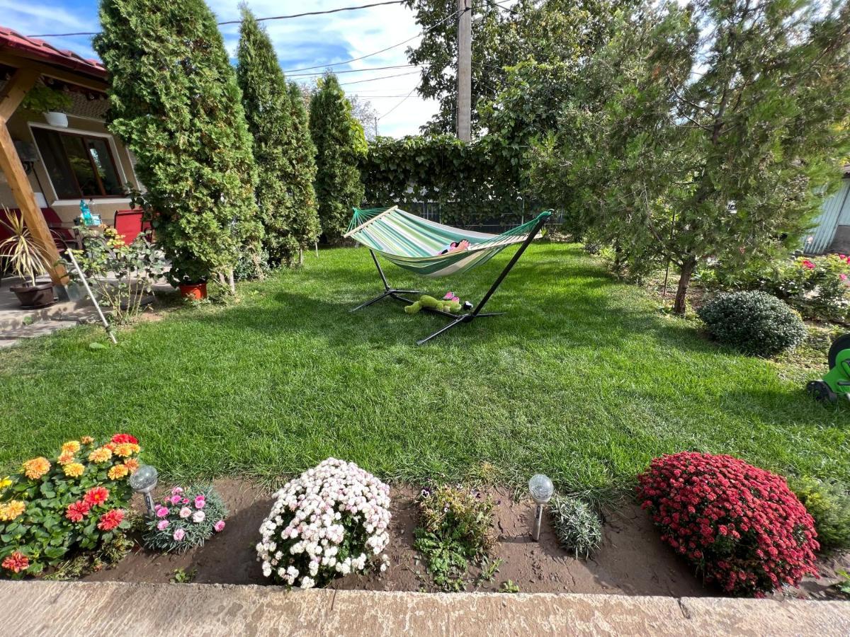 Agropensiunea Cristina Farm stay