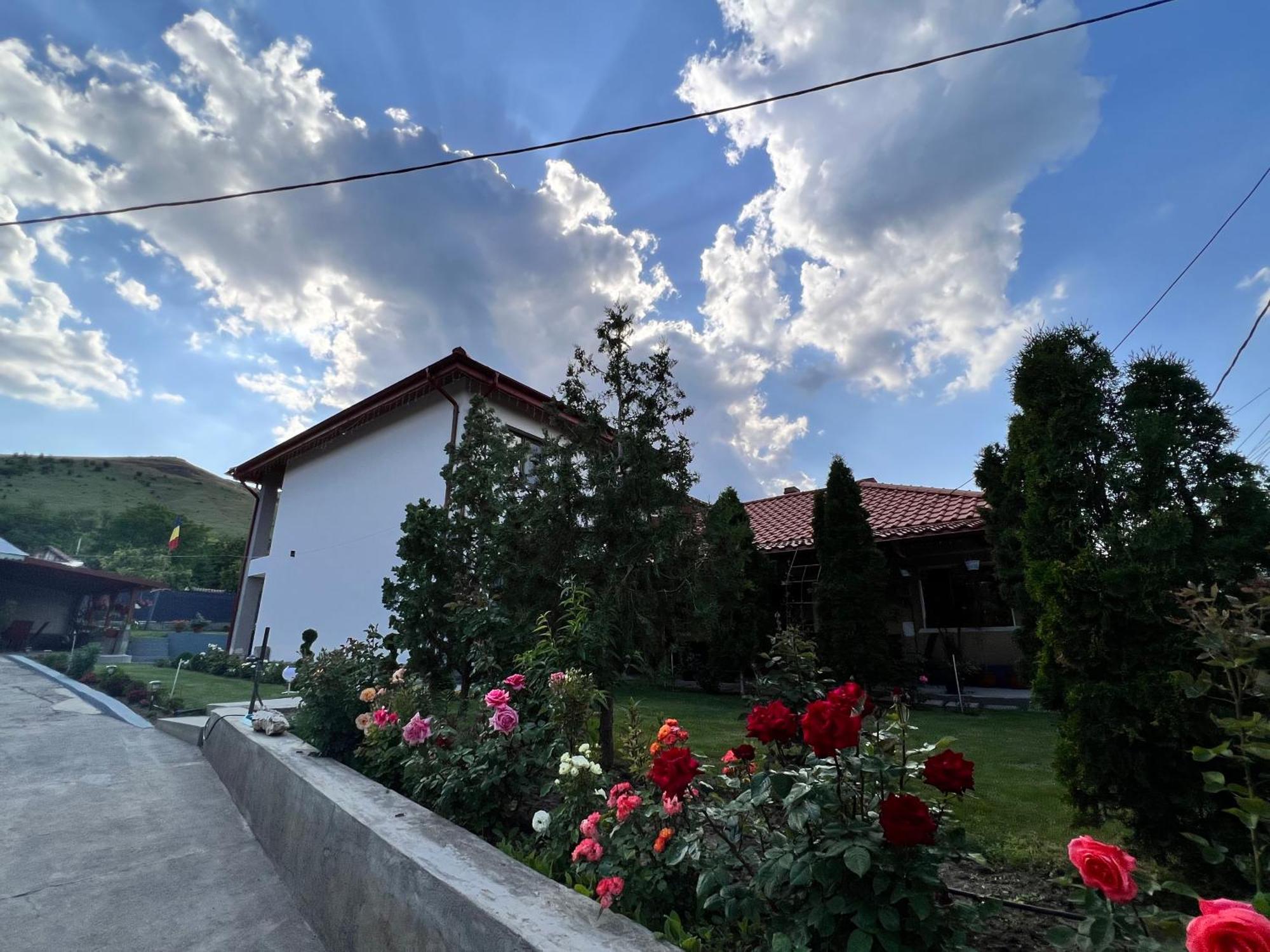 Agropensiunea Cristina Farm stay *