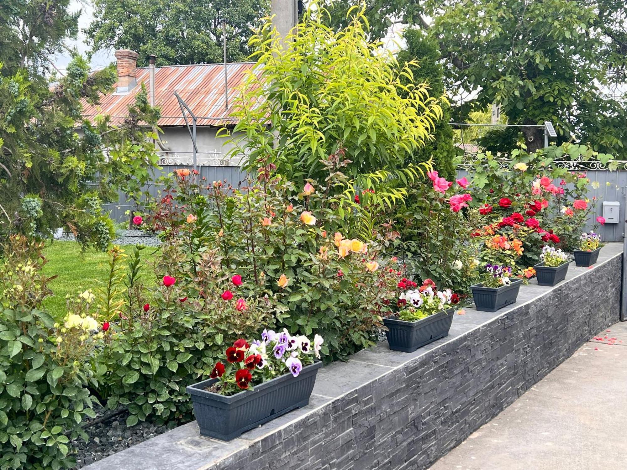 Farm stay Agropensiunea Cristina Niculitel